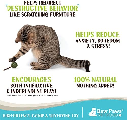 Raw Paws Silvervine Powder & Catnip & Silver Vine Lollipop Bundle image 5