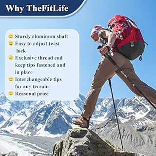 TheFitLife Nordic Walking Trekking Poles - 2 Packs with Antishock and Quick Lock System, Telescopic, Collapsible, Ultralight for Hiking, Camping, Mountaining, Backpacking, Walking, Trekking (Red)