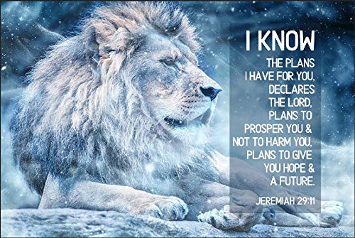 Jeremiah 29 Prayer Mat – EasyPray Soft Memory Foam -