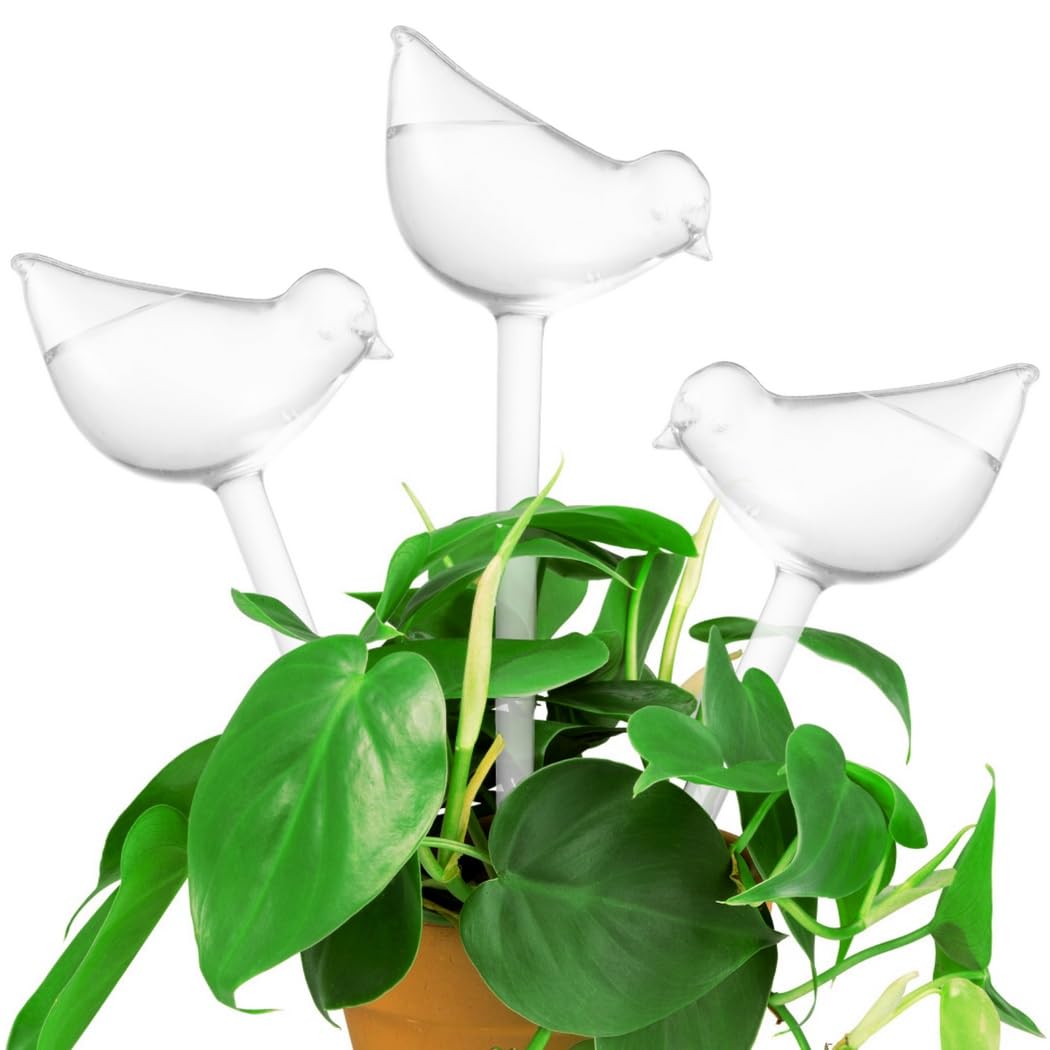 6 Pezzi Palline per Irrigazione per Piante, Abbeveratoio trasparente a forma di uccello, Globi autoirriganti in plastica, Bulbi per auto-irrigazione per uccelli per Interni Esterni Giardino Fiore