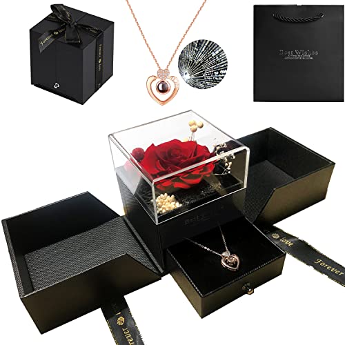 WOMLEX vU[uht[ lbNX v[g ͂Ȃ av[g  lC ޏ   蕨 Ƃ o^C LO j zj ̓ hV̓ v[g NX}X w  bZ[WJ[ht (