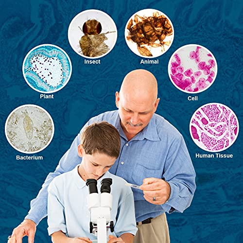 LAKWAR 100PCS Microscope Slides Prepared with Specimens for Kids Students Biology Lab Sample with Insect Plants Flower Microorganism for Homeschool Use Science Education No Edge Sharp