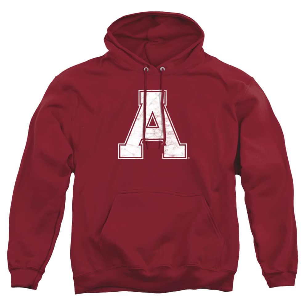 LOGOVISION Official Collegiate Distressed Primary Logo Adult Pullover Hoodie Collection — view 119