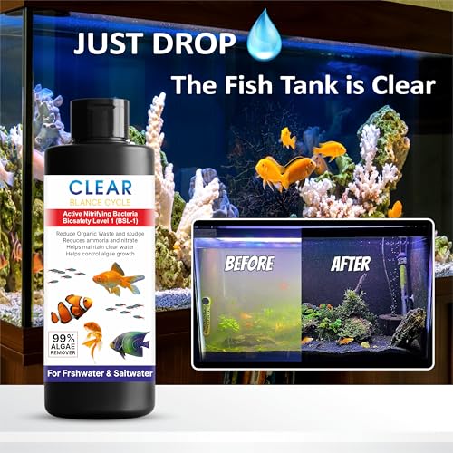 Image of Beyond Fill Automatic Fish Tank Cleaner Liquid | Cloudy Water Remover for Crystal Clear Aquarium Water | Algae Remover |Buy 1 Get 1 Free(100ML Each)