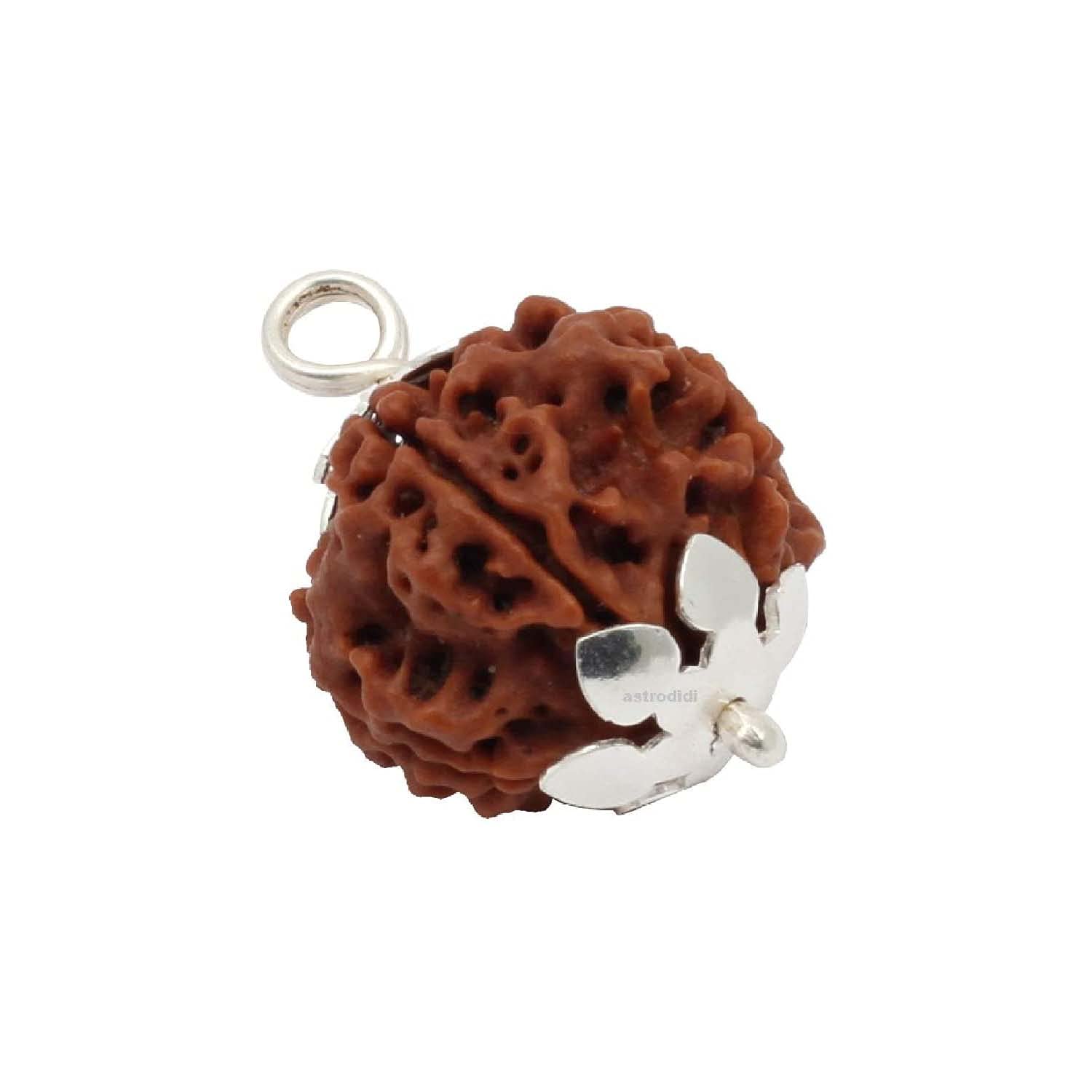 Rudraksha 5 Mukhi pour la méditation profonde et l'harmonie intérieure