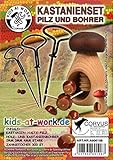 Kids at Work Kastanienset bestehend aus Pilz und Bohrer 300 Zahnstocher