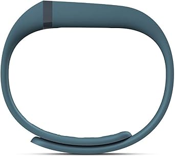 Fitbit Flex Wireless Activity Plus Sleep Wristband, Pink