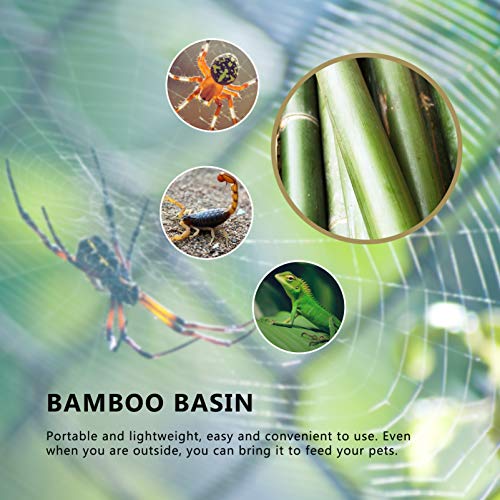 POPETPOP 2Pcs Alimentadores de Bambu Bacia Bacias de Água Para Animais de Estimação para Aranha Tart