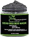 Dead Sea Mud Mask with Applicator BONUS - Natural Face Mask - Deep Cleaning Dead Sea Mask - Mud Mask for Face 8.3fl oz / 250 ml