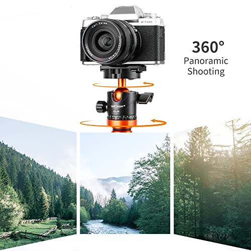 K&F Concept 78 Inch Camera Tripod For Dslr Compact Aluminum Tripod With 360 Degree Ball Head And 10Kg Load For Travel And Work K234A7+Bh-28L (S210) #TOP7