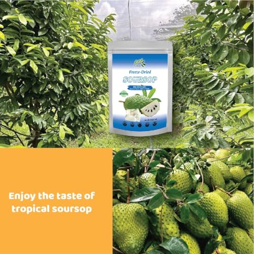 Image of CHAVI Freeze Dried Soursop Fruit | 4 oz | Pack of 2 x 2 Oz | Healthy 1 Ingredient Superfood | No Added Sugars or Preservatives | Non-GMO, Vegan, Gluten-Free