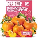 KVITER 50 Sugar Pumpkin Seeds Organic (Cucurbita Pepo) – Small Pumpkin Heirloom Seed, Sweet Fine-Grained Flesh for Canning & Pies – Vegetable Seeds for Planting in Outdoor Garden