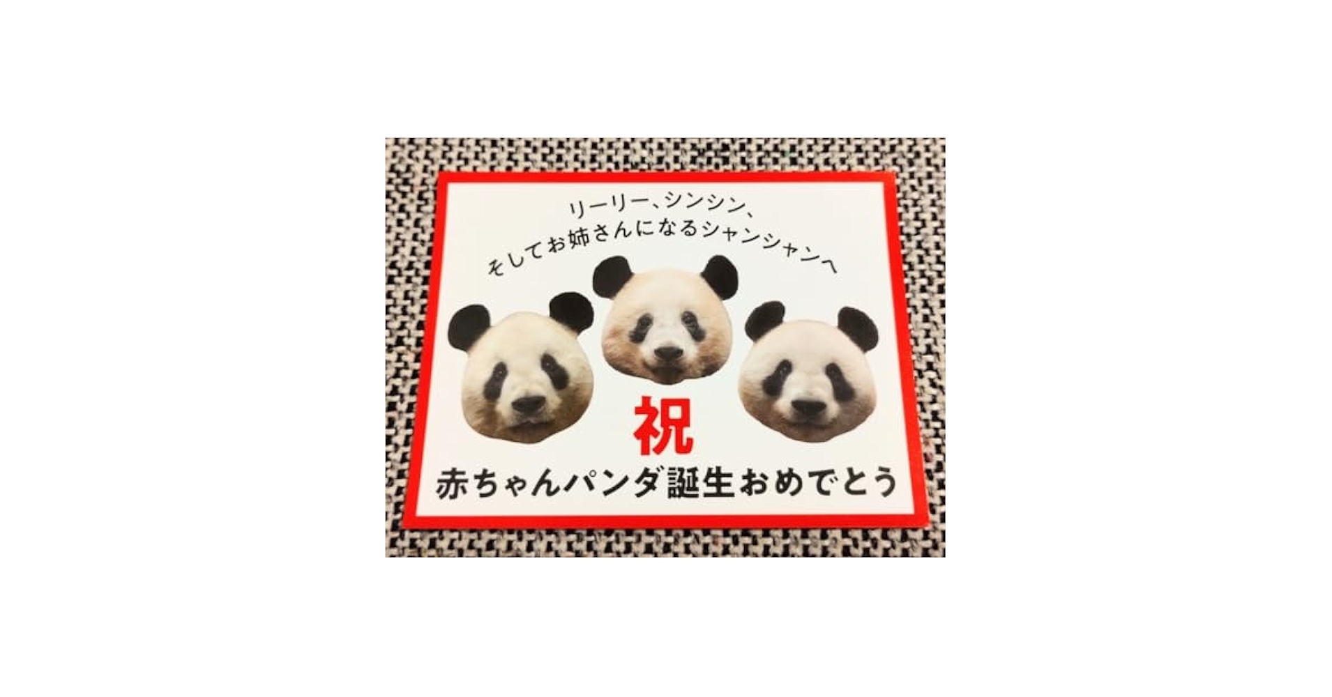 シャンシャン　タンタン　リーリー　シンシン　上野　松坂屋 シャンシャン タンタン リーリー シンシン 上野 松坂屋 - メルカリ