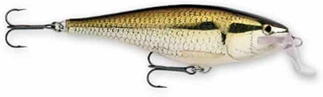 Amazon.co.jp: ラパラ(Rapala) スーパーシャッドラップ SSR14