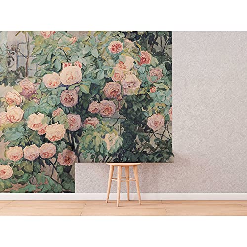 Fotomurale 360x250 Entretela con Foto Pegatina de Jardín de Rosas Viejas para Paredes 5