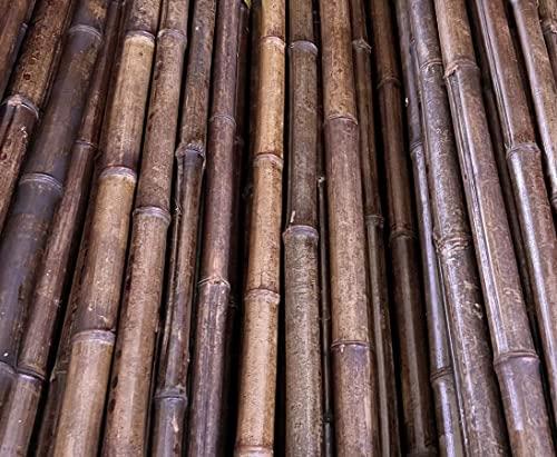 Canna di bambù 200 cm, color caramello con diametro di 5-6 cm, trattamento termico in forno a carburo, canna di bambù scuro, lunghezza 2 m