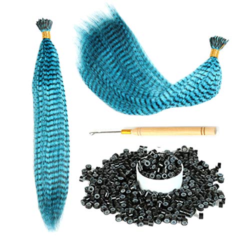 jiefeng 25 Strands 19'' lored Synthetic Feather Hair Extensions Kit (Not Real Feather) with 50 Pcs Silin Micro Link Beads 1 Crochet Hook Tools Kit (19 INCH, sky blue)