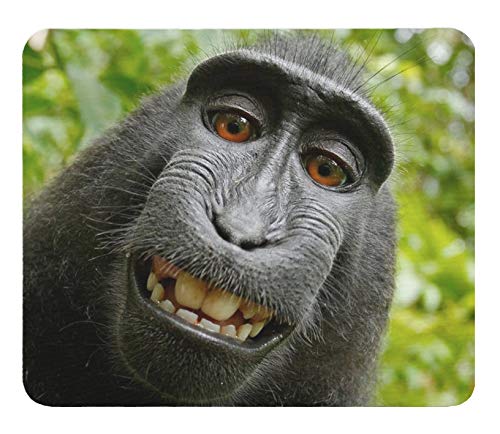 Amazon.co.jp: サルの自撮り写真のマウスパッド：フォトパッド
