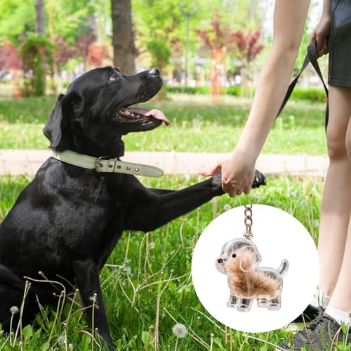 2Pcs Dog Hair Collector Keychain, Transparent Pet Hair Keepsake, Waterproof Pet Memorial Storage Box, Gift for Pet Lovers - Image 4