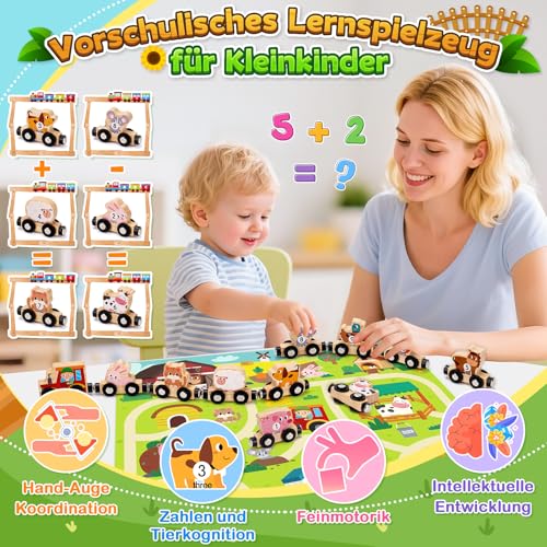 Montessori Spielzeug ab 1 2 3 Jahre: Magnetic Zug Holzspielzeug ab 1 2 Jahre Motorikspielzeug ab 1 Jahr, Holzeisenbahn Kinderspielzeug ab 2-3 Jahre Baby Geschenk 1 2 3 Jahre Geburtstag Junge Mädchen