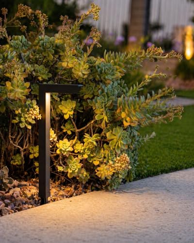 Image of LEONLITE 12-Pack 16 Inch 5CCT Low Voltage Landscape Pathway Lights, ETL
