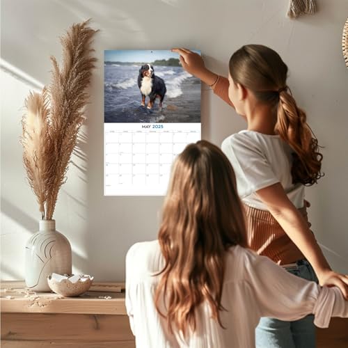20242025bernesemountaindogcalendardogbreedmonthlywallcalendar12x18openthicknobleedpapergiftableacademicteachersplannercalendarorganizingplanningmadeinusa  Urban Country Home Decor 2024 2025 bernese mountain dog calendar dog breed monthly wall calendar 12 x 18 open thick no bleed paper giftable academic teachers planner calendar organizing planning made in usa  urban country home decor