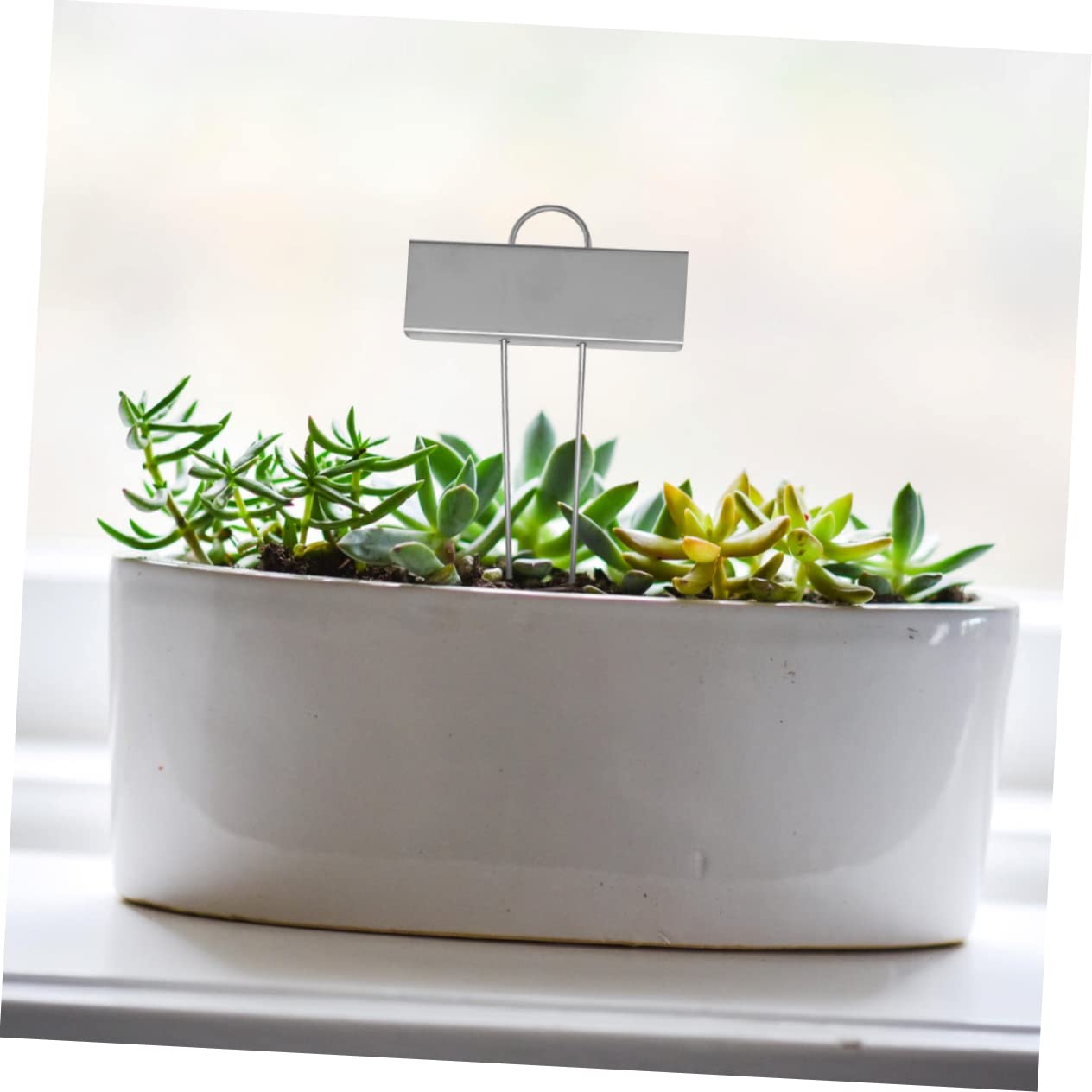 YARNOW 30pezzi Etichettper Piante Acciaio Inossidabile Resistente Per Giardinaggio e Bonsai Metal Tag Per Classificare Le Piante Argento