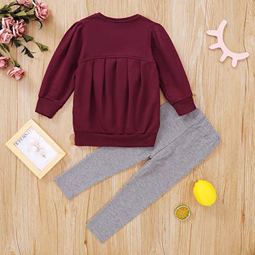 Image of CM C&M WODRO Toddler Girls Clothes Winter Warm Long Sleeve Tops+Long Pants Set
