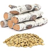 Gas Fireplace Log Set Ceramic White Birch For - View #2