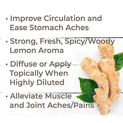 image for Plant Therapy Ginger Root CO2 Essential Oil 100% Pure, Undiluted, Natu