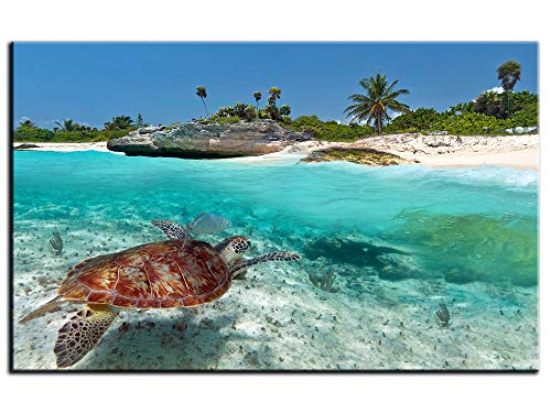 Tableau tortue marine grand format pour habiller un mur vide