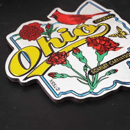 Imán decorativo de Ohio con diseño de cardinal y clavel rojo miniatura 4