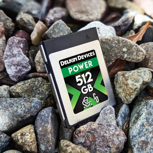 Image of Delkin 512GB CFexpress Type B 4.0 Memory Card for Digital Cameras | Ideal for Express Transfer of Images and Videos for Storage | 512GB Memory Card Storage