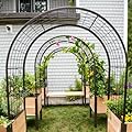 Gardener’s Supply Company Arch Trellis | Garden Arbor fits 2' x 4' Elevated Planter Boxes for Climbing Plants, Vegetables and Flowers | Decorative Outdoor Gardening Landscape