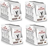 Royal Canin Veterinary Gatrointestinal Moderate Calorie | 4er Pack | 4 x 12 x 85 g | Diät-Alleinfuttermittel für Katzen | Zur Linderung akuter Resorptionsstörungen des Darms