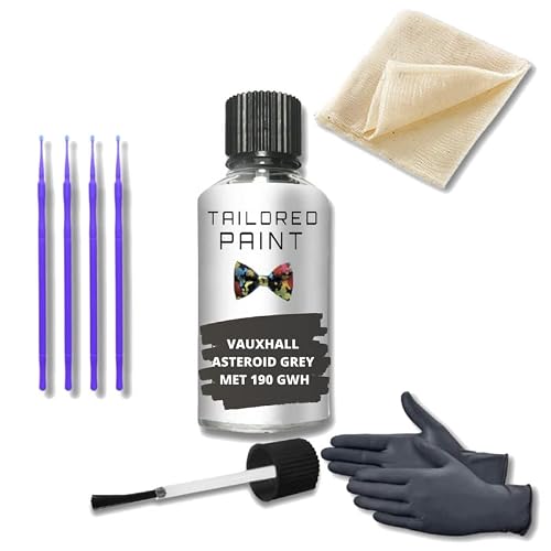 Tailored Paint Asteroid Grey Met 190 Gwh For Vauxhall Touch Up Paint Kit Chip Scratch Repair (Touch Up Paint)