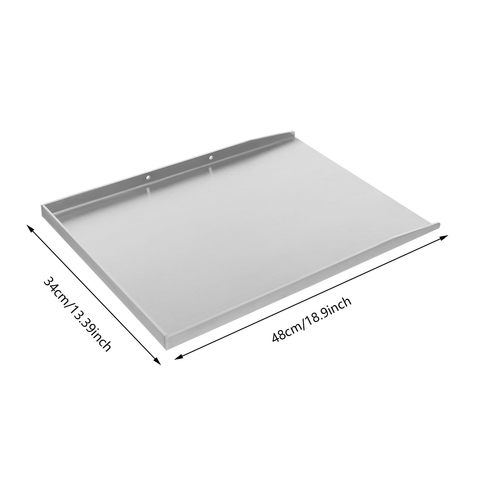 Plancha de acero inoxidable para barbacoa, camping, pícnic, con 2 asas, apta para lavavajillas, inoxidable, para carne, pescado y verduras (plata, 48 x 34 cm)