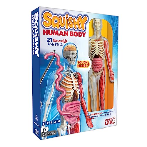 The Amazing Squishy Brain SmartLab QPG Lab for Kids, Squishy Human Body, Grade 3-8