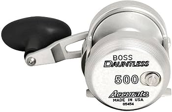 Amazon | 正確なダントレス DX2-500N 2-SPD 従来リール | Accurate