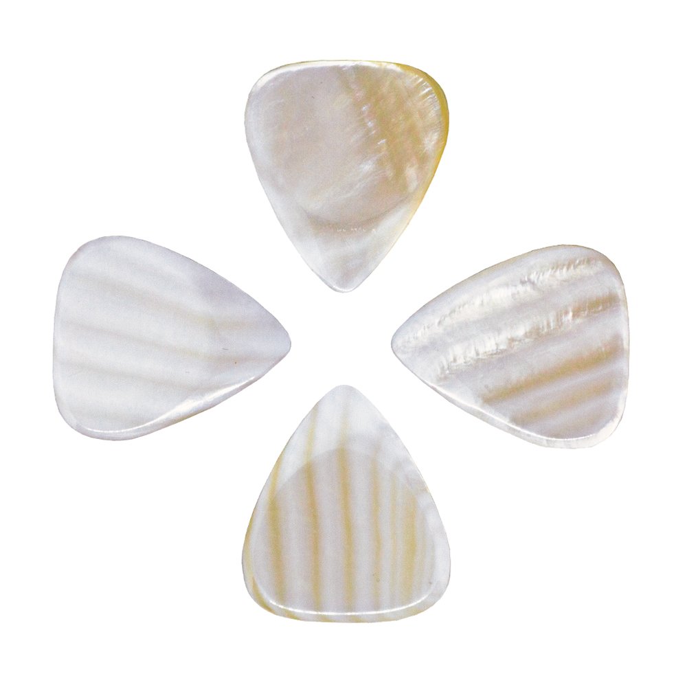 Timber Tones Shell Tones - Confezione di 4 plettri in contenitore di latta, motivi vari