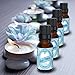 Baby Powder Essential Oil [RELAXING SCENT] - Glass Amber Bottle Organic Pure Therapeutic French for Diffuser, Aromatherapy, Headache, Pain, Sleep-Perfect For Candles & Massage (10 ml)
