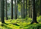 TAPETEN EIGENSCHAFTEN: geruchsfrei, perfekt glatt mit strukturfreier Oberfläche, 100% umweltfreundlicher und ökologischer Druck - PERFEKT für jeden Wohnraum - Vliestapete geeignet für Schlafzimmer, Kinderzimmer, Wohnzimmer, Badezimmer, Flur, Esszimmer, Gästezimmer, Büro