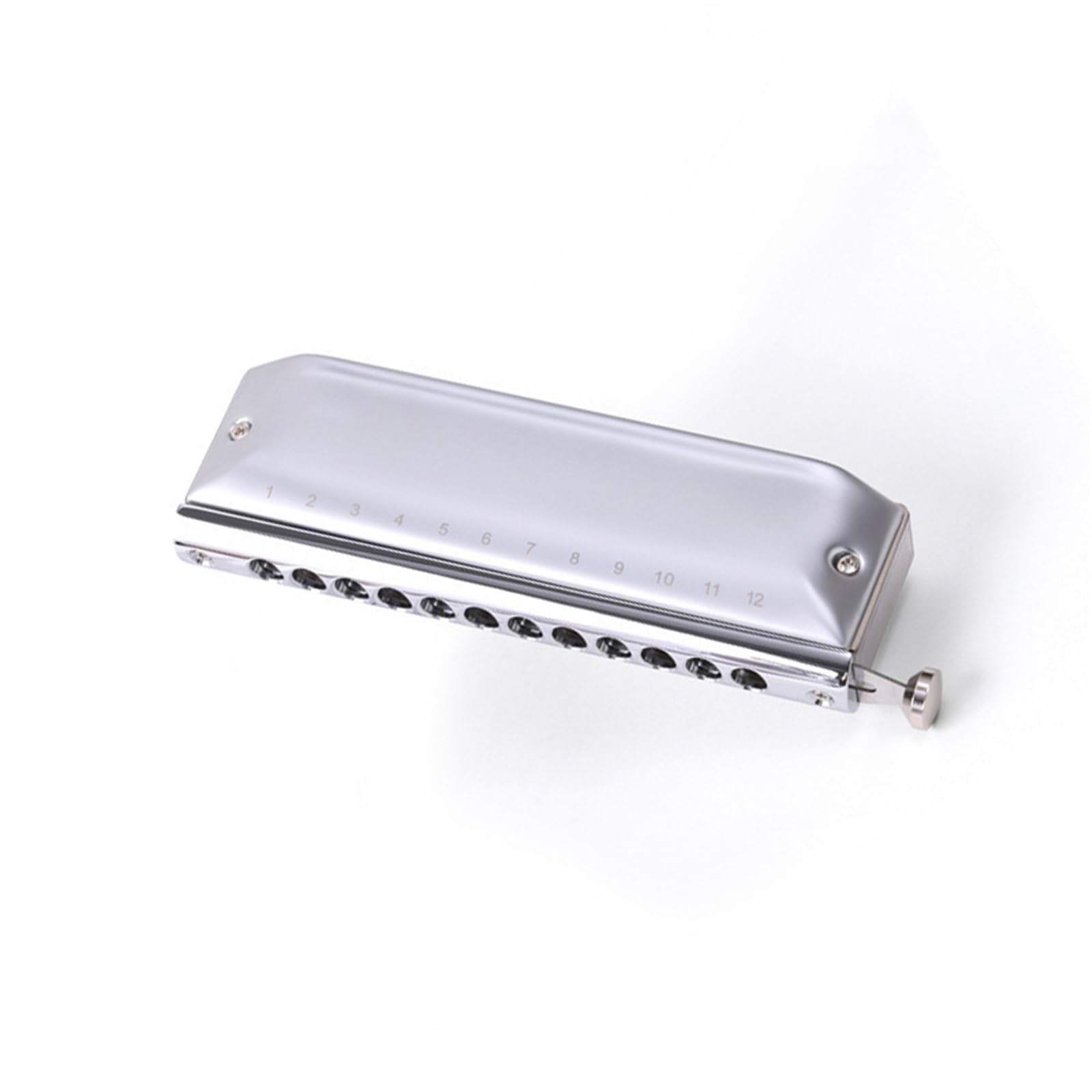 Diatonische Mundharmonikas Chromatische Mundharmonika professionelles Performance Instrument