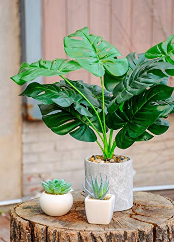 WUKOKU 16\" Small Fake Plants Artificial Potted Faux Plants for Home Office Farmhouse Desk Kitchen Shelf Indoor Decor - Thumbnail 3