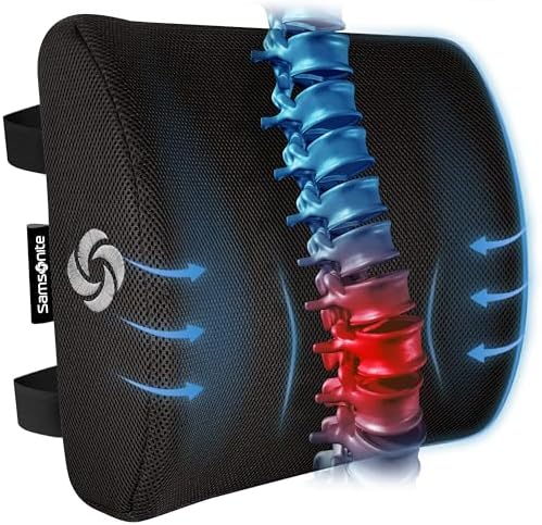 Samsonite Memory Foam Lumbar Support Pillow for Office Chair, Gam...