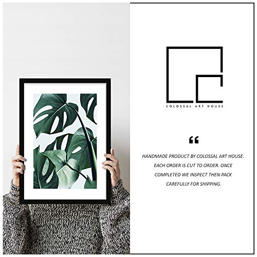 COLOSSAL-ART-HOUSE-Tropical-Leaf-Framed-Motivational-Poster-Painting-for-Living-Room-Bedroom-Study-Office-Wall-Decoration-Botanical-Leaf-Framed-13×17-Inch