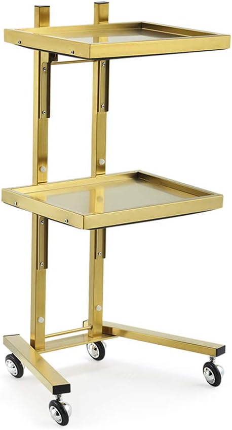 Foldable Medical Trolley Stainless Steel 2-Layer Foldable Shelf Assembly e Removable Trolley with Armrests 2-Color Barber Shop Multi-Function (Titanium Steel Gold)