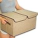 LightBiz Storage Boxes with Lids, DIY Collapsible Dustproof Clothing Organizer baskets with Dual Handles Divided 2 compartments