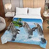 Hiseng Bettüberwurf Steppdecke, 3D Delphin Steppdecke Leichte Tagesdecken, Bettdecke Ganzjahresdecke, Weiche Bettdecke Atmungsaktive, für Einzelbett Doppelbett (Delfintraining,150x200cm)