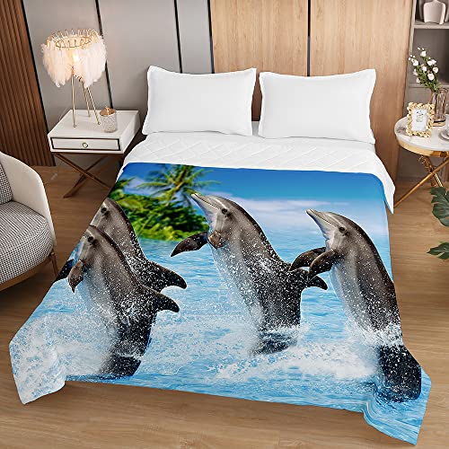 Hiseng Bettüberwurf Steppdecke, 3D Delphin Steppdecke Leichte Tagesdecken, Bettdecke Ganzjahresdecke, Weiche Bettdecke Atmungsaktive, für Einzelbett Doppelbett (Delfintraining,150x200cm)